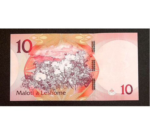 10 малоти 2021 год.
