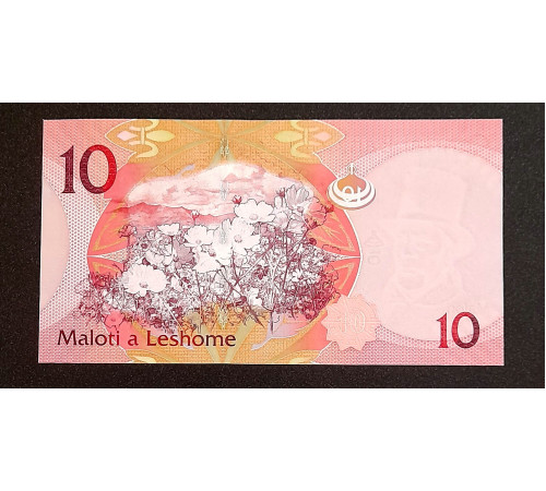 10 малоти 2010 - 2013 год.
