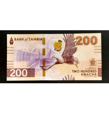 200 квачей 2024 год.