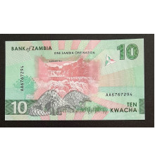 10 квачей 2024 год.