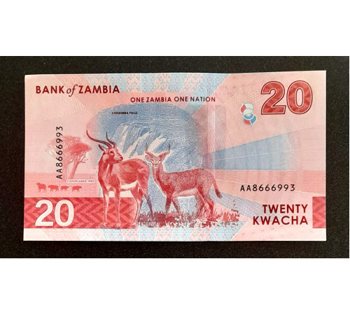 20 квачей 2024 год.