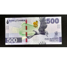 500 квачей 2024 год.
