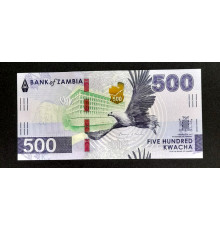 500 квачей 2024 год.