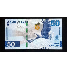 50 квачей 2024 год.